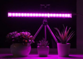 Фітосвітильник: iнноваційний інструмент для вирощування рослин