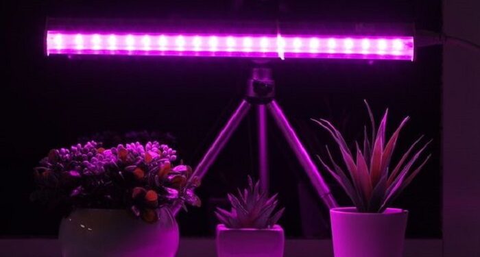 Фітосвітильник: iнноваційний інструмент для вирощування рослин