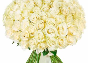 Ідеї ​​оформлення букетів із білих троянд від Marta Flowers: вишукана класика