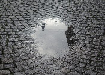 Як визначити рівень ґрунтових вод: простий і надійний спосіб