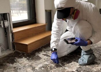 Ensure a healthy home with mold air quality testing