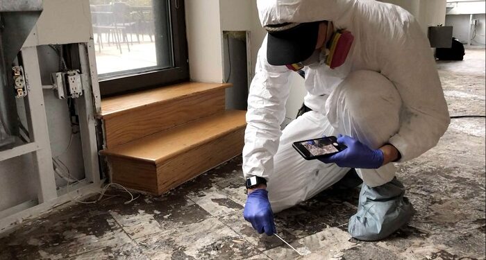 Ensure a healthy home with mold air quality testing