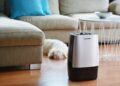 Найкращі очищувачі повітря: переваги та особливості вибору