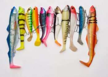 Приманки на рибу: ключ до успішного улову